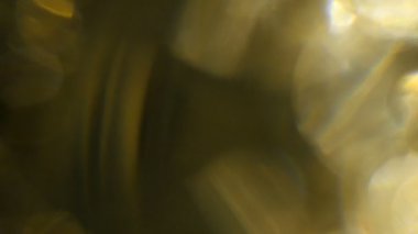 Film yakmak Footage.Light bakliyat ve yanıyor. Gerçek mercek parlaması ve hafif sızıntı ile koyu arka plan üzerinde Ultra yüksek çözünürlüklü güzel ışık sızıntısı.