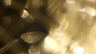 Film yakmak Footage.Light bakliyat ve yanıyor. Gerçek mercek parlaması ve hafif sızıntı ile koyu arka plan üzerinde Ultra yüksek çözünürlüklü güzel ışık sızıntısı.