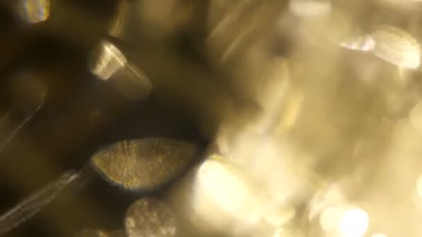 Film Burn Footage.Légères impulsions et lueurs. belle fuite de lumière en Ultra Haute Définition sur fond sombre avec éruption de lentille réelle et fuite de lumière .