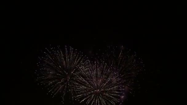 烟花在节日的节日 五颜六色的烟花在背景 假日在晚上 — 图库视频影像
