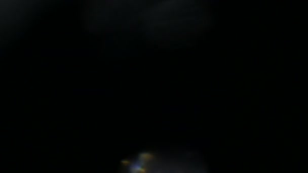 Lichtimpulse Und Glows Beautiful Licht Leck Qualität Auf Dunklem Hintergrund — Stockvideo