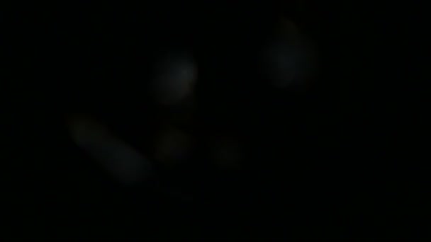 Легкі Імпульси Світильники Чудовий Витік Світла Якості Темному Тлі Реальний — стокове відео