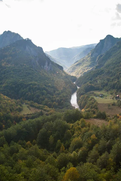 계곡에 흐르는 협곡 강 — 스톡 사진
