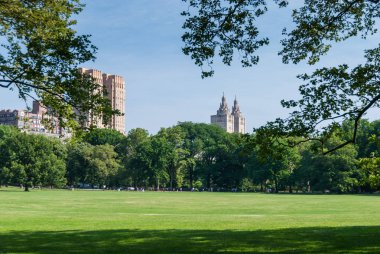 Gökdelenler bahind Central park