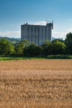 Hububat silosuna arpa alan arkasında
