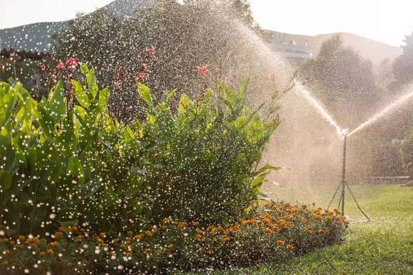 Sprinkler system watering the lawn — Stock Photo, Image