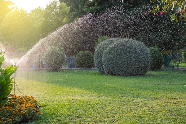 Sprinkler system watering the lawn