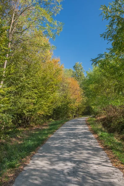 Route de campagne traversant la forêt d'automne — Photo