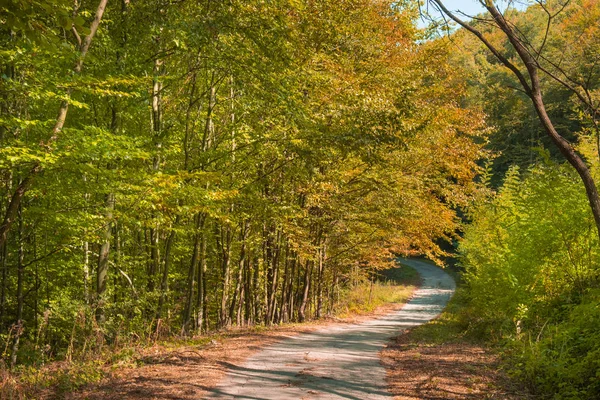 Route de campagne traversant la forêt d'automne — Photo