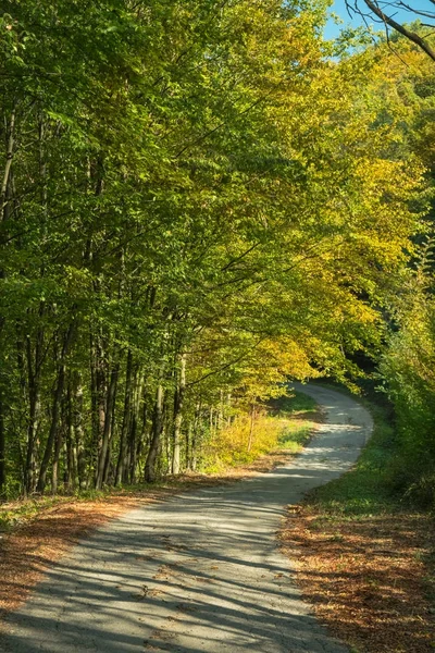 Route de campagne traversant la forêt d'automne — Photo