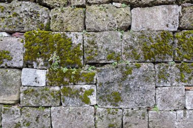 Yüzeyde toplanan yosunile rustik duvar arka planını oluşturan antik taş bloklar