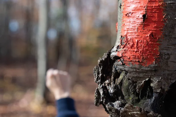 Red Blaze Trail Marker on hiking path