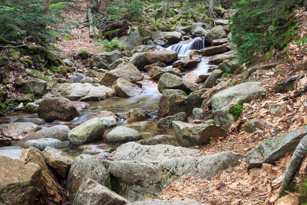 New England Cascade in summer on an overcast day