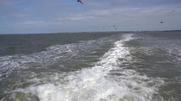ニュージャージー州からデラウェア州に渡るフェリーの船尾からハンドヘルドされたスロー クリップ — ストック動画