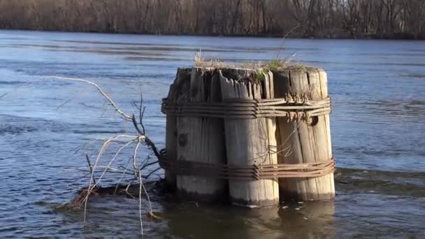 Floating natural e detritos feitos pelo homem no rio inundado em Connecticut — Vídeo de Stock