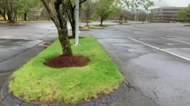 Bir ofis binasının boş otoparkı. 