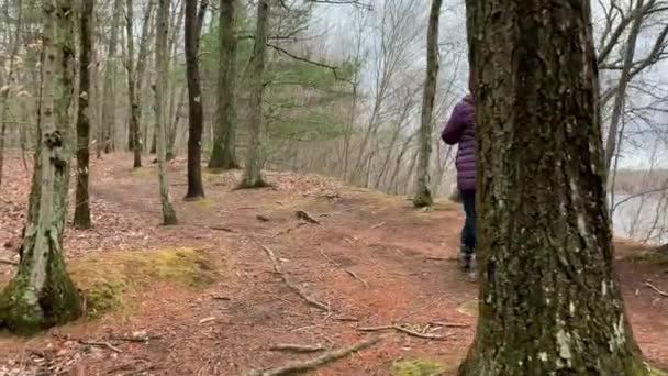 Kobieta wędrująca po lesie wczesnym wiosennym dniem — Wideo stockowe
