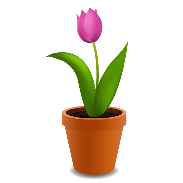 Blumen Tulpe im Topf — Stockvektor
