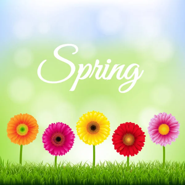 Banner de primavera con flores — Vector de stock