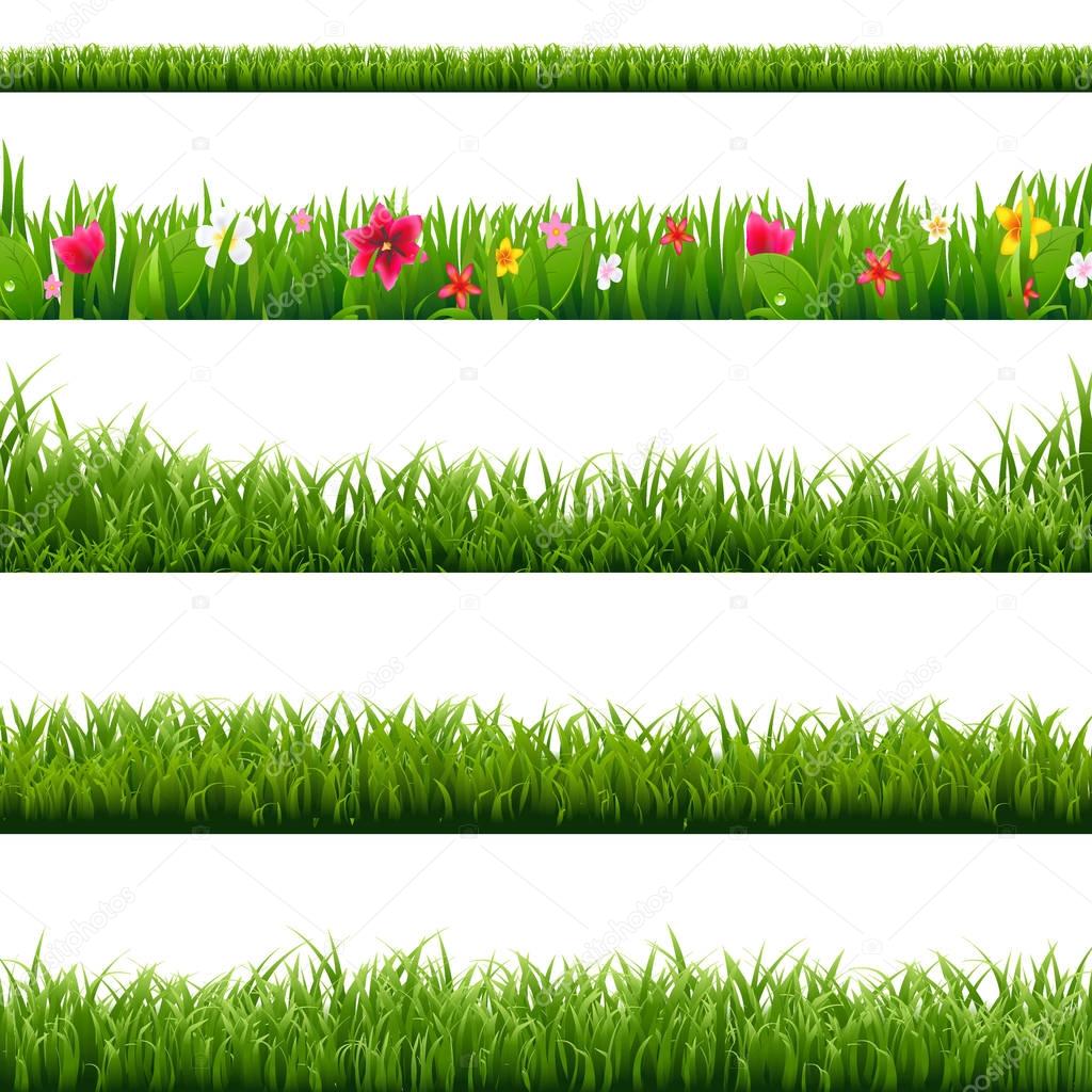 Grass And Flowers Border Set