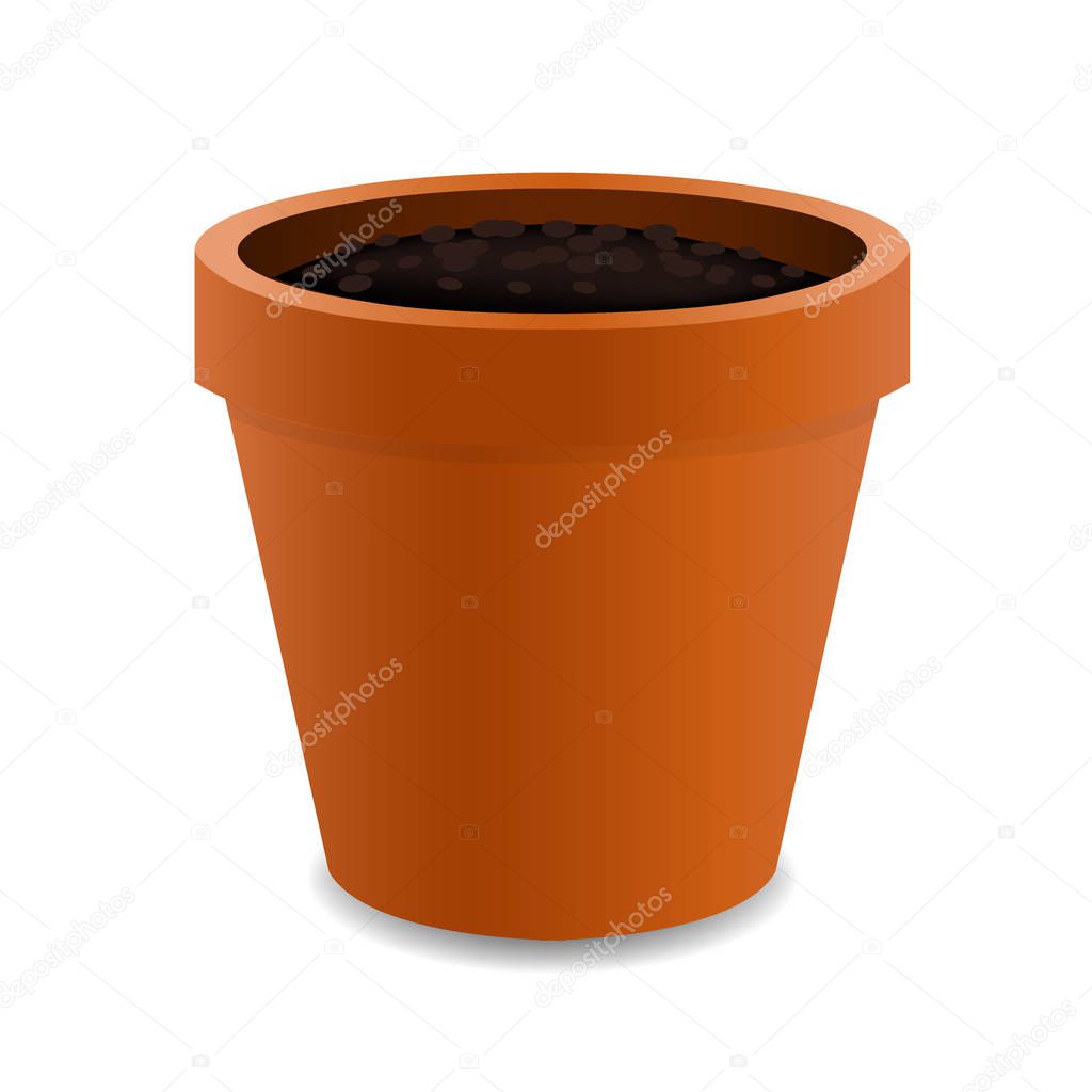 Terracotta Pot with soil 