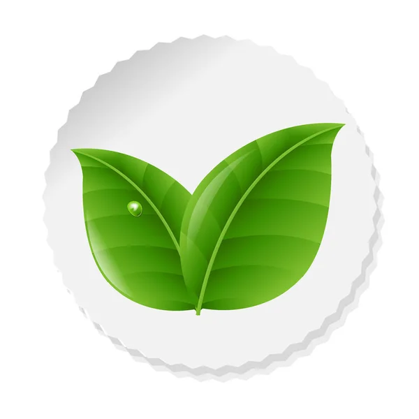 Étiquette nature avec feuilles — Image vectorielle
