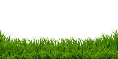 green grass Border  clipart