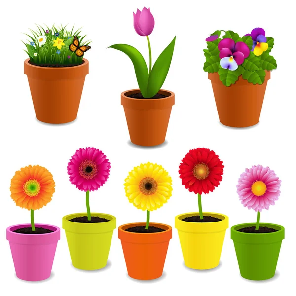 Collection of Flowers In Pots — Stock Vector