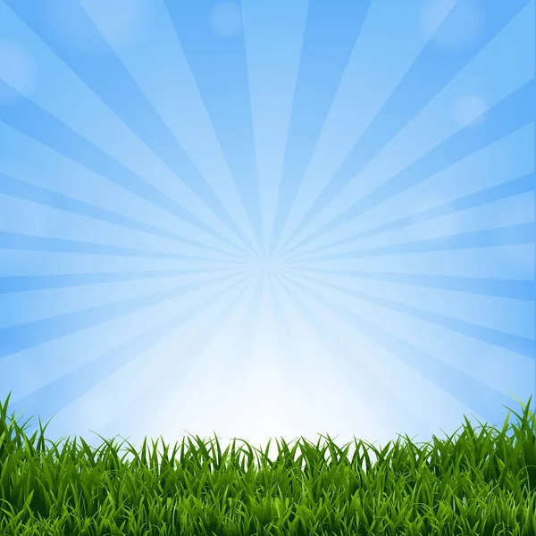 Wiosnę banner z granicy trawy — Wektor stockowy
