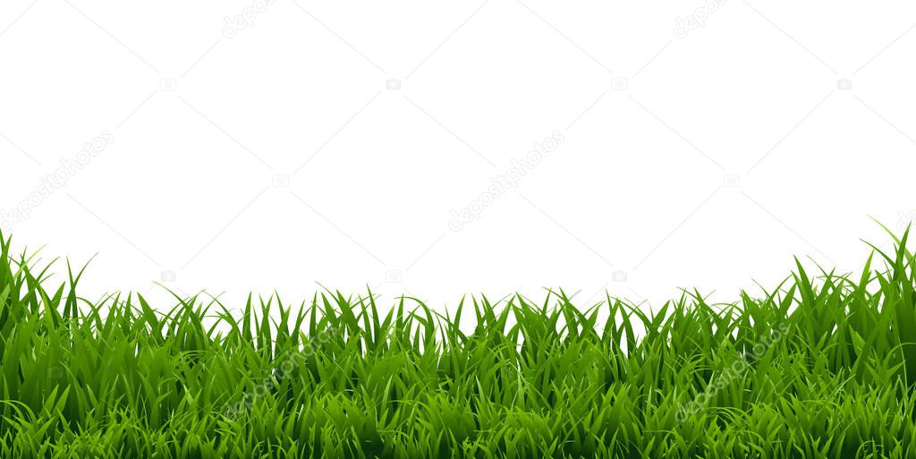 green grass Border 