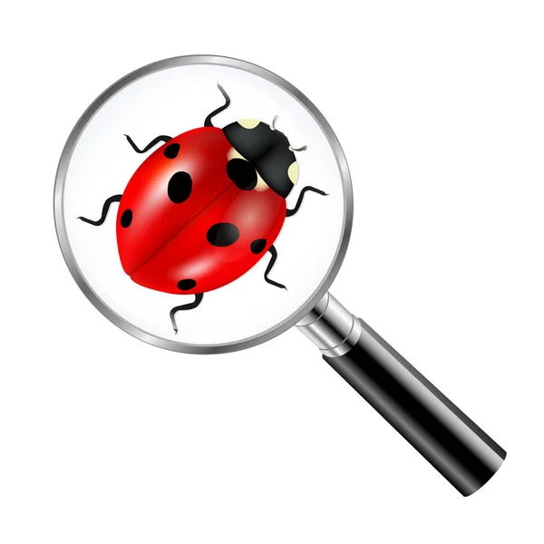 Black Magnifying Glass With Ladybug — Stock Vector