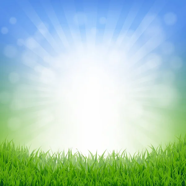 Frühlingsposter mit grünem Gras — Stockvektor
