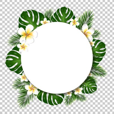 Palmiye ve Monstera ağaç yaprakları