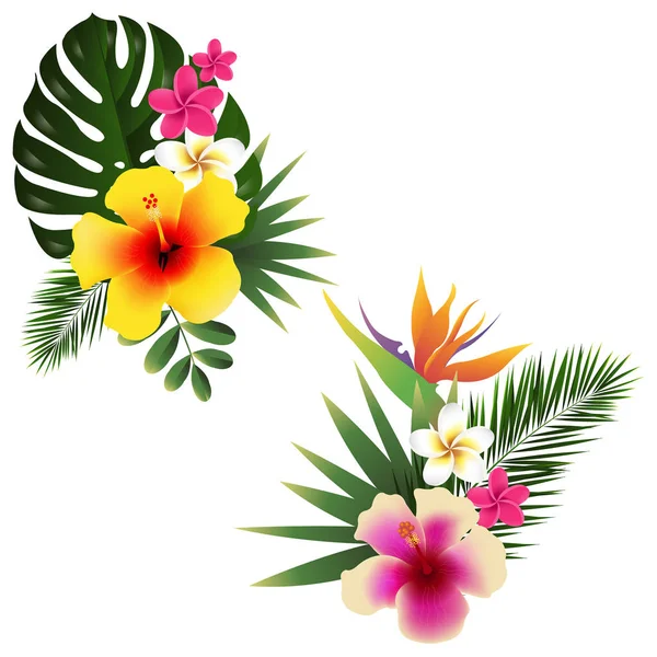 Conjunto de flores tropicais —  Vetores de Stock