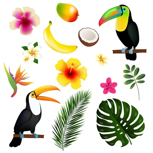 Tropiska löv, tukaner och frukter — Stock vektor