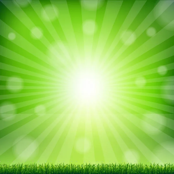 Hranice zelené trávy — Stockový vektor