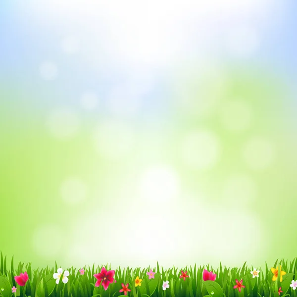 Gras en bloemen en Bokeh — Stockvector