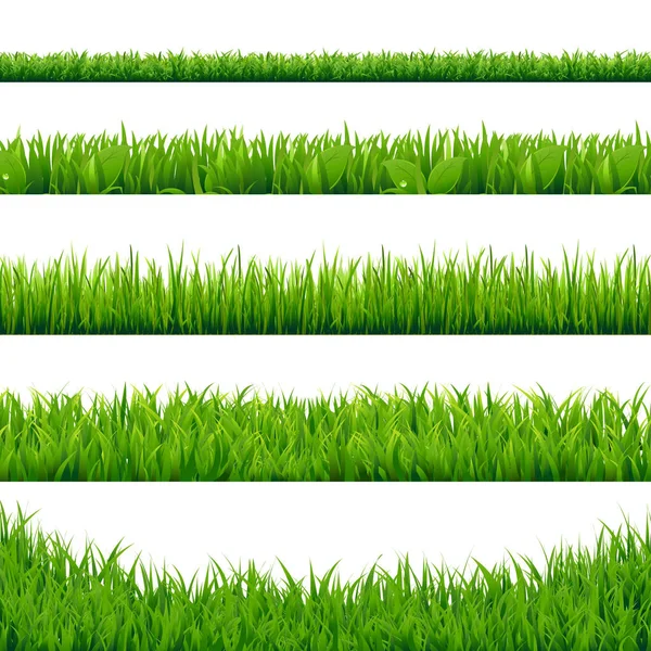 Grande set di erba verde — Vettoriale Stock