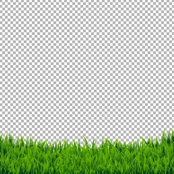 Izolovaný okraj zelené trávy — Stockový vektor
