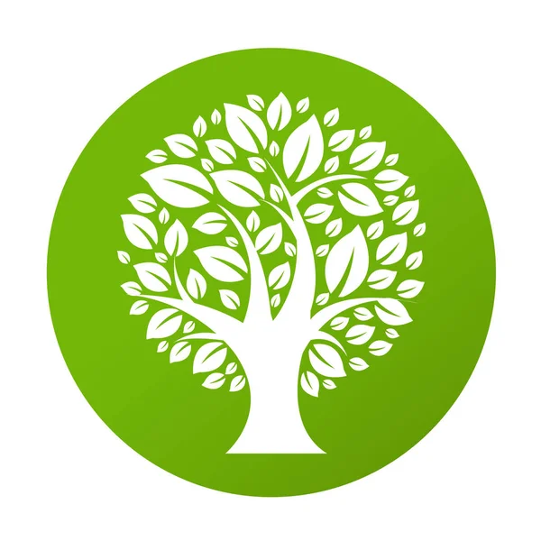 Groene eco boom — Stockvector