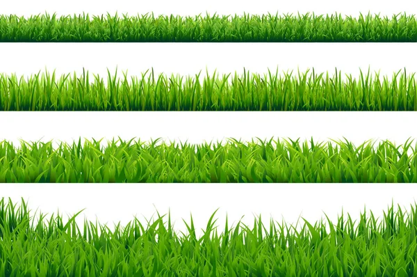 Grüne Grasgrenzen gesetzt — Stockvektor
