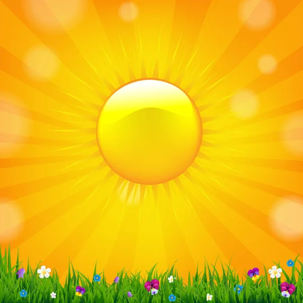 Banner de venta de verano con sol — Archivo Imágenes Vectoriales