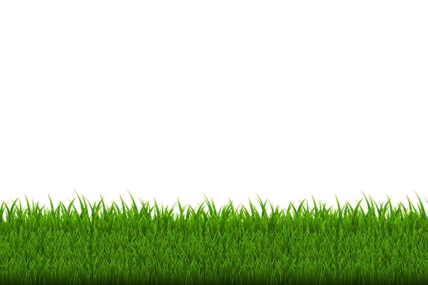 Zielona granica trawy — Wektor stockowy