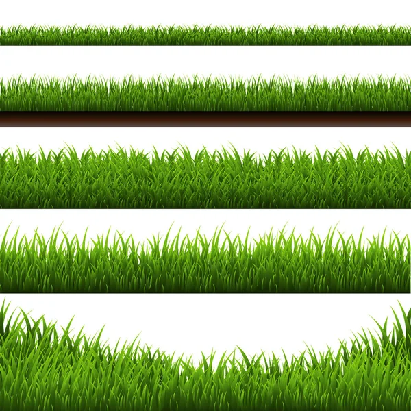 緑の草の境界 — ストックベクタ
