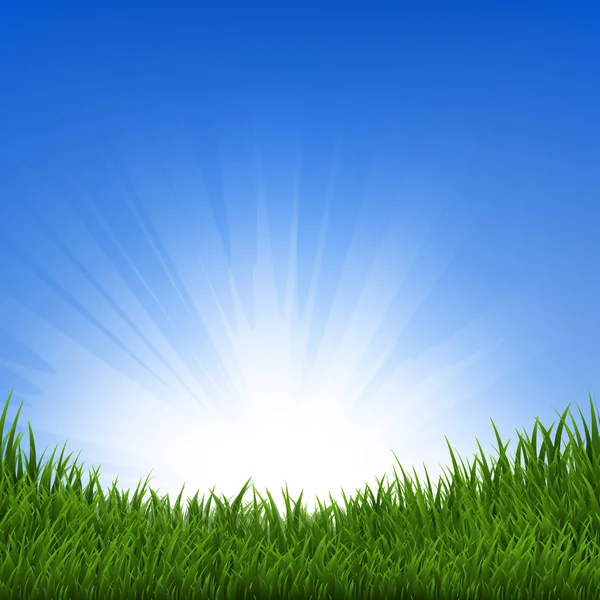 Gras en Sunbeam achtergrond — Stockvector