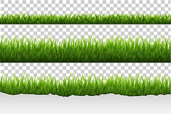 Зелена трава кордону — стоковий вектор