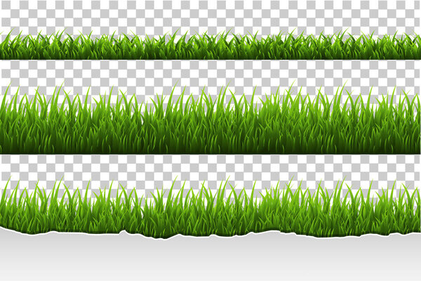 Green grass Border