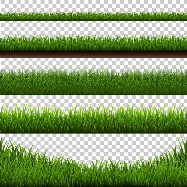 Зелена трава кордону — стоковий вектор