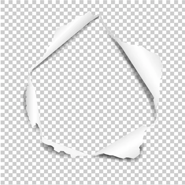 Papier déchiré isolé — Image vectorielle