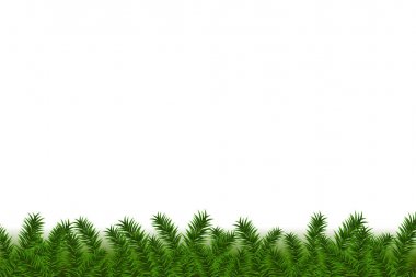 Noel köknar ağacı kenarlık